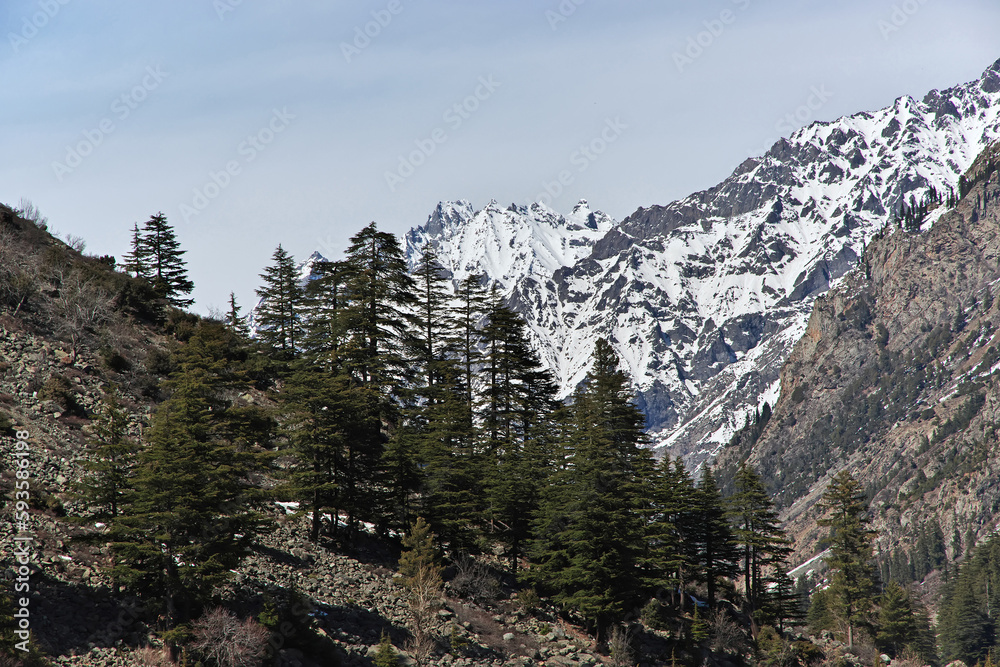 Sticker nature of kalam valley in himalayas, pakistan