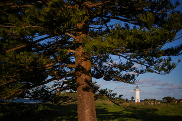 Griffiths Island Lighthouse in Port Fairy, Victoria, Australia