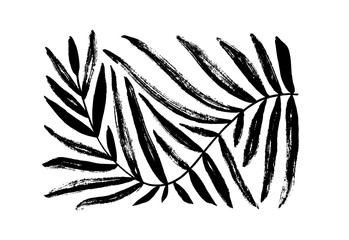 Geometric palm leaf with curved stem isolated on white background. Brush drawn Matisse style branch with wavy bold lines. Abstract geometric palm leaf in rectangle shape. Vector ink illustration.