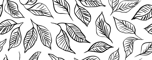 Fototapeta na wymiar Tropical leaves with veins seamless pattern. Hand drawn outline tropical branches. Botanical seamless banner with simple linear basil leaves. Vector exotic foliage drawn with thin brush.