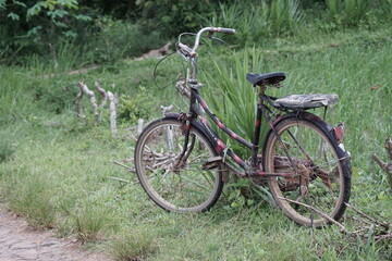 Fototapeta na wymiar farmer's bicycle parked on the edge of the rice field