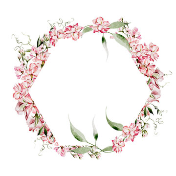 Watercolor wreath with wild flowers of pea and  leaves.