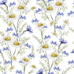 Watercolor seamless pattern with flowers of  cornflowers and  chamomile, leaves.