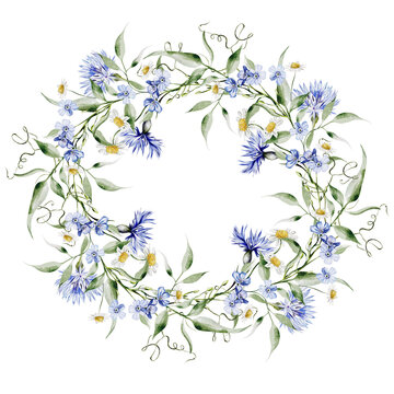 Watercolor wreath with flowers of  cornflowers and  chamomile, leaves.