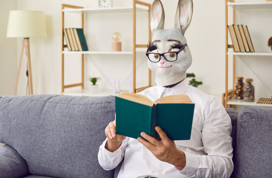 Animal reader with a book. Man with a funny rabbit face reading in living room at home. Bizarre guy wearing white shirt, bunny mask and eyeglasses sitting on sofa with interesting novel or fairy tale