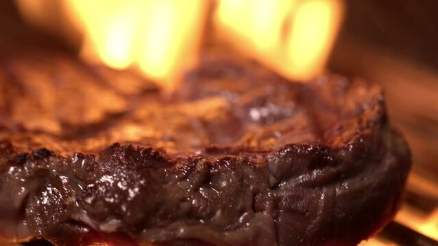 A piece of meat is grilled on a dragonfly grill, over an open fire