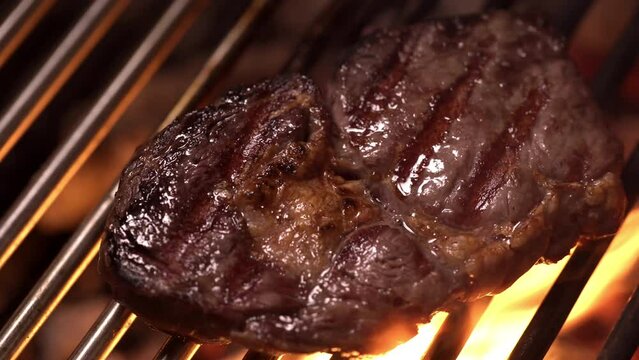 A piece of meat is grilled on a dragonfly grill, over an open fire