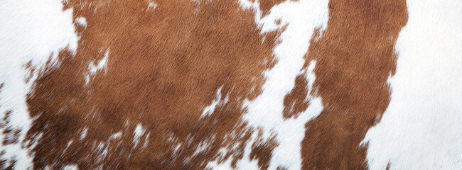 red and white pattern on cowhide - obrazy, fototapety, plakaty