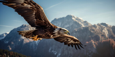 Fototapeta na wymiar Ein Adler fliegt durch die Lüfte - generative ai