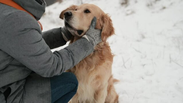 Girl petting golden retriever dog in snow winter time. Young woman owner with purebred pet labrador outdoors with cold weather