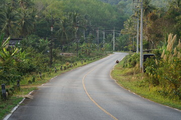 road in the mountains