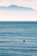 Obraz premium Vertical shot of a boat on False Bay near Cape Town in the morning