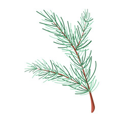 Concept Winter Christmas botany branch leaf plant. This flat vector design features a winter Christmas branch, complete with pine needles, berries, and snowflakes. Vector illustration.