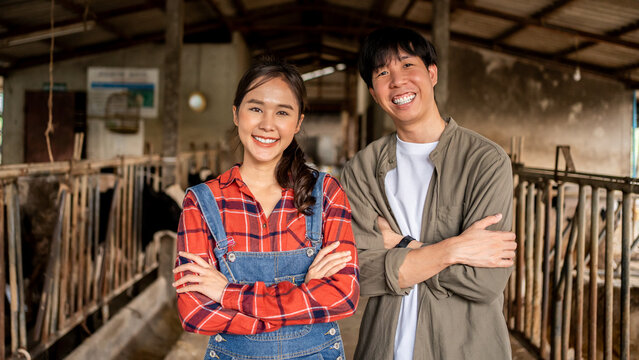Asian couple working in cow farm.