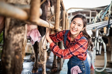 Female worker in barn with automatical cow milking machines. squirting the milk into a silver bucket