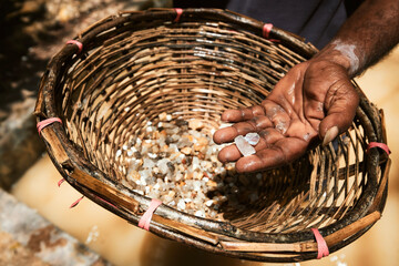Worker showing gemostones found in Moonstone mine in Sri Lanka. This gemstones is later processed...