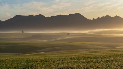 Misty morning countryside, Overberg, Western Cape, South Africa. Greyton.