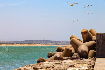 View of the breakwaters of the Atlantic coast in the Essaouira on a sunny summer day. Morocco.