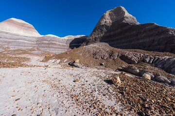 Scenic shot of rocky hills and stones in Petrified Forest National Park, Arizona, USA