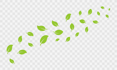 Set of flying green foliage. Motion fresh leaves. Wind raises leaf. Stream of leaves.