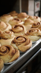 freshly baked cinnamon roll, being displayed on bakery or pastry shop, very delicious and fresh