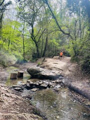 Collserola 