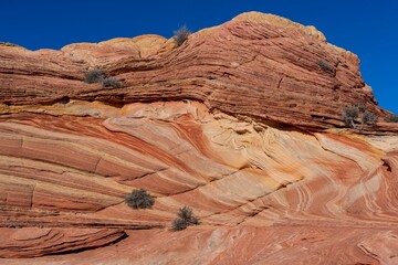 Coyote Buttes (The Wave) and the Vermilion Cliffs National Monument in Arizona, USA