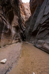 Vertical shot of the Orderville Canyon, Virgin River Narrows, Utah, USA