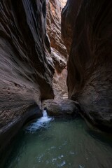Vertical shot of the Orderville Canyon, Virgin River Narrows, Utah, USA
