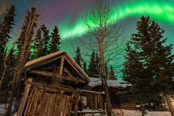 Incredible northern lights, aurora borealis seen over the landscape of Carcross in Yukon Territory, Canada during winter time with gold rush style log cabins. 