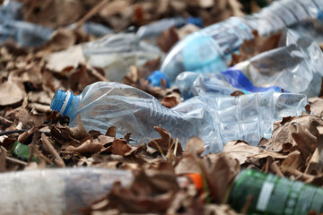 Plastikowe butelki zanieczyszczają środowisko w lesie. Śmieci.  - obrazy, fototapety, plakaty