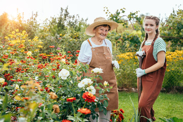 Teenager grandchild helping to her elderly grandmother at the garden in summer outside. Granddaughter and her pensioner senior granny working together at countryside.