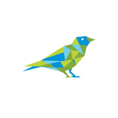 simple bird logo design with various colors.