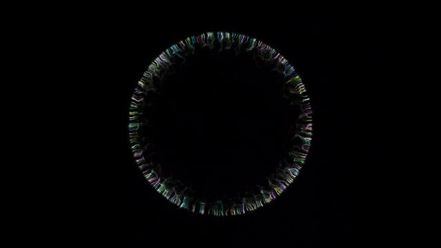 Looping firework night sky on isolated black background