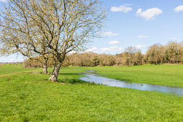 The Thames Path long distance walking trail beside the infant River Thames 350 metres from its...