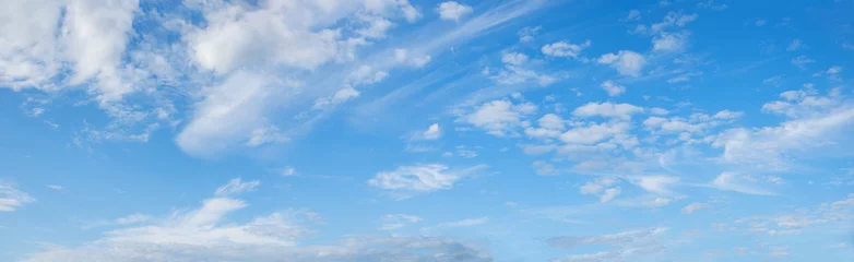 wide blue sky background with cirrus and fleecy clouds, panorama format © SusaZoom