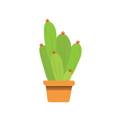 Cute Cactus Illustration