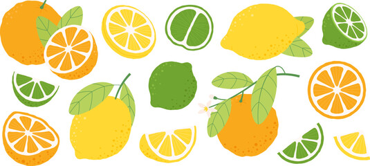 Oranges lemons fruits, lemon slice and half. Orange blossom branch, fresh fruit for juice and vitamin diet. Lime nature raw, racy vector clipart