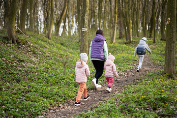 Back view of mother with three kids walking on forest trail. Outdoor spring leisure concept.