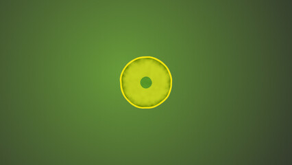 Illustration of Green Color Biology Cell