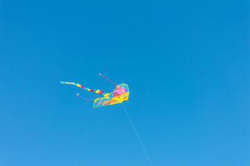 Multicolored kite in blue sly