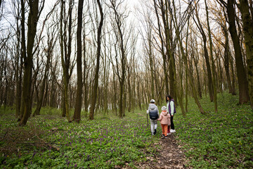 Back view of  three kids holding hands with mother walking on forest trail. Outdoor spring leisure concept.