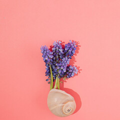 still life with lilac flowers