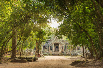 Fototapeta na wymiar Ta Prohm temple in Angkor Wat, Cambodia