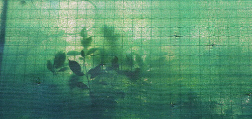 view of the shading green mesh through which shadows and light from the sun are visible