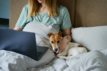Woman with cute dog relaxing in bed at morning and use laptop. Comfortable work from home for...