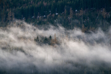 mystical landscape at a spring morning with fog and sunshine on the mountains