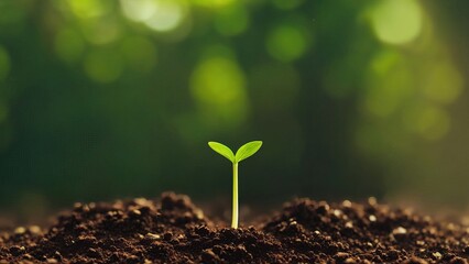 Green Sprout Grow on Organic Soil Dirt, Environmental Earth Day | AI Generated