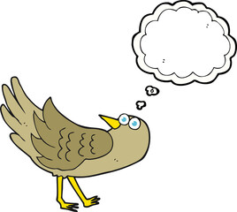 thought bubble cartoon bird