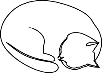 Fototapeta premium sleeping cat